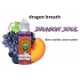 E-liquide Dragon Soul 50 ml - Dragon Breath