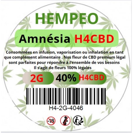 Amnesia H4cbd40% - CBD BY DAVID