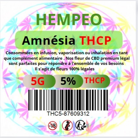 Amnesia THCP5%- CBD BY DAVID