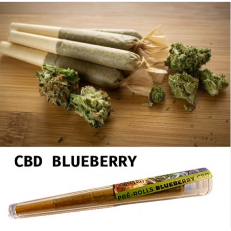 pre-roll blueberry