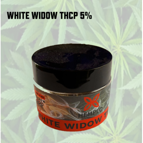 Pot Small Bud 2g white widow thcp 5% - CBD BY DAVID