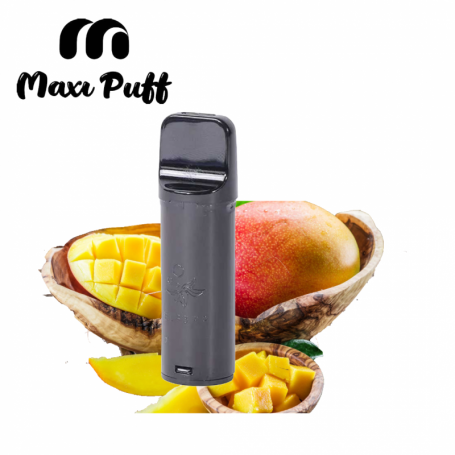Ma puff 600 rechargeable TRIPLE MANGUE